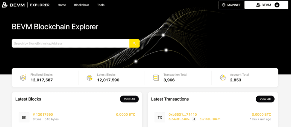 (BEVM Scan 用户界面)