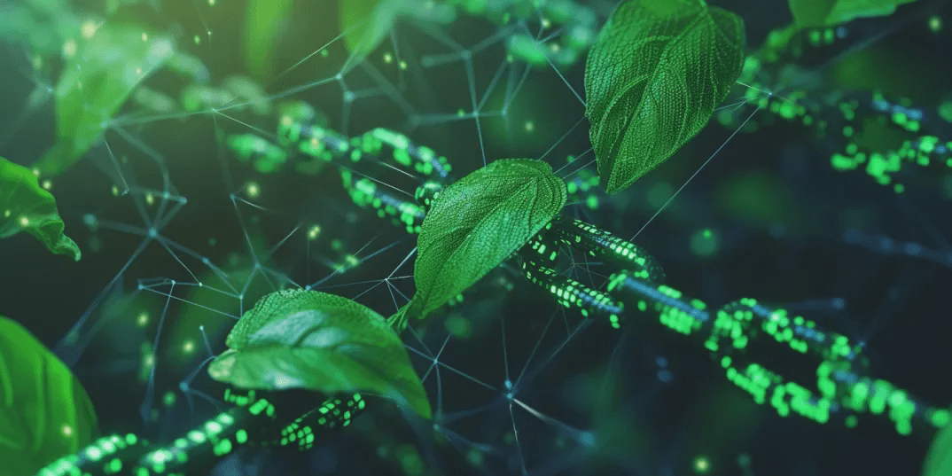 cp6225_green_blockchain_with_leaves_growing_on_it_3b7743fa_6db0_4960_80d0_00647f3bde6d_6f4ba8e6db