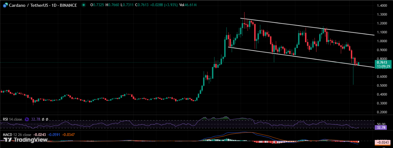 Cardano 1/day price chart