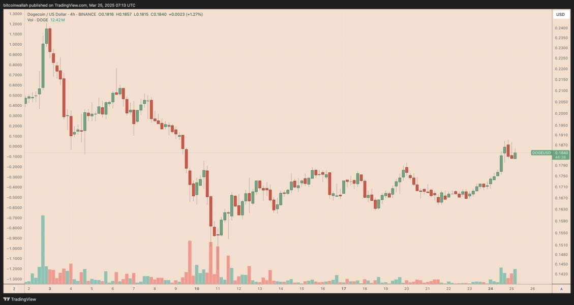 Dogecoin, Cryptocurrencies, Markets, Elon Musk, Tech Analysis, Market Analysis, Altcoin Watch, Memecoin