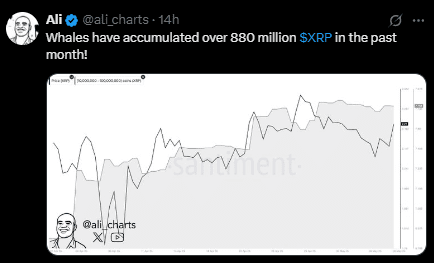 XRP Whale accumulation