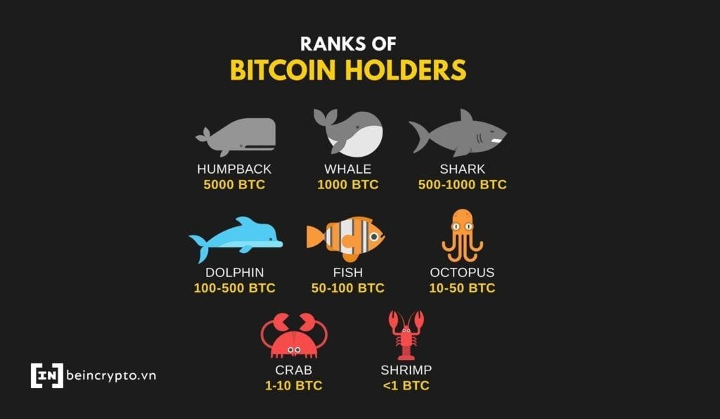 Làm quen với các sai lầm thường gặp của nhà đầu tư crypto mới