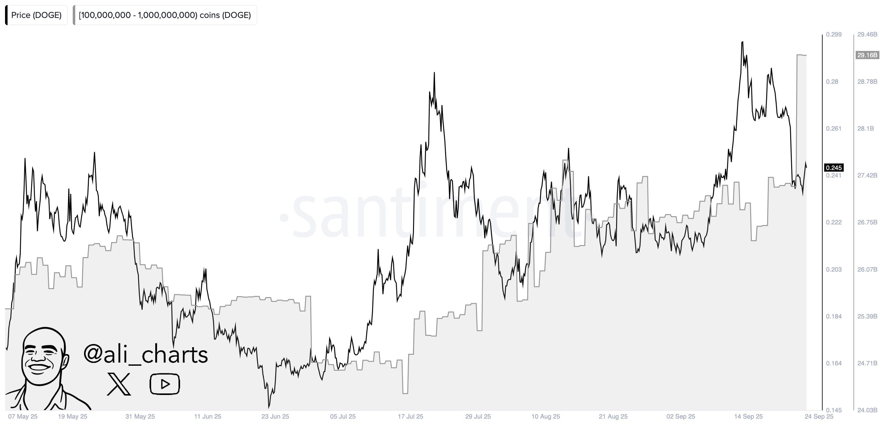 狗狗币鲸鱼供应