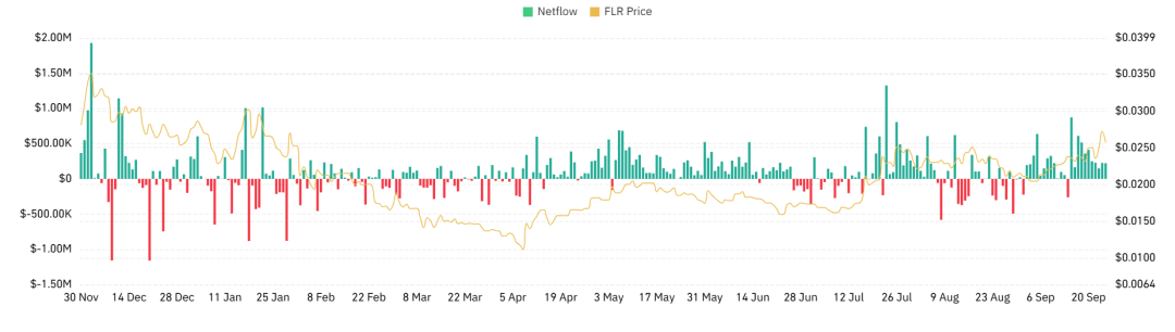 Flare Spot 网络流