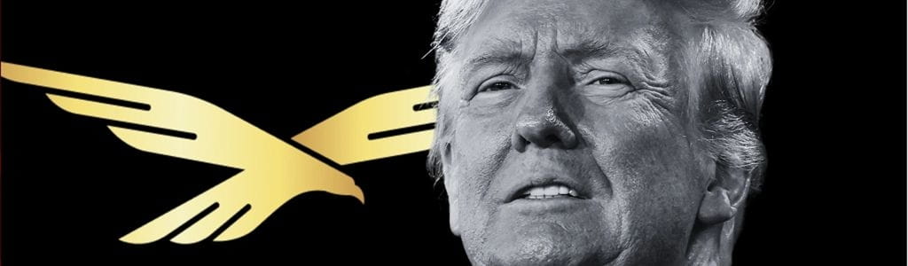 World Liberty Financial operates as a DeFi project with a high-profile political identity