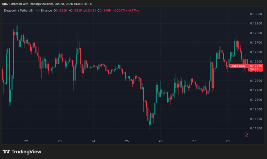 狗狗币,doge,dogeusdt