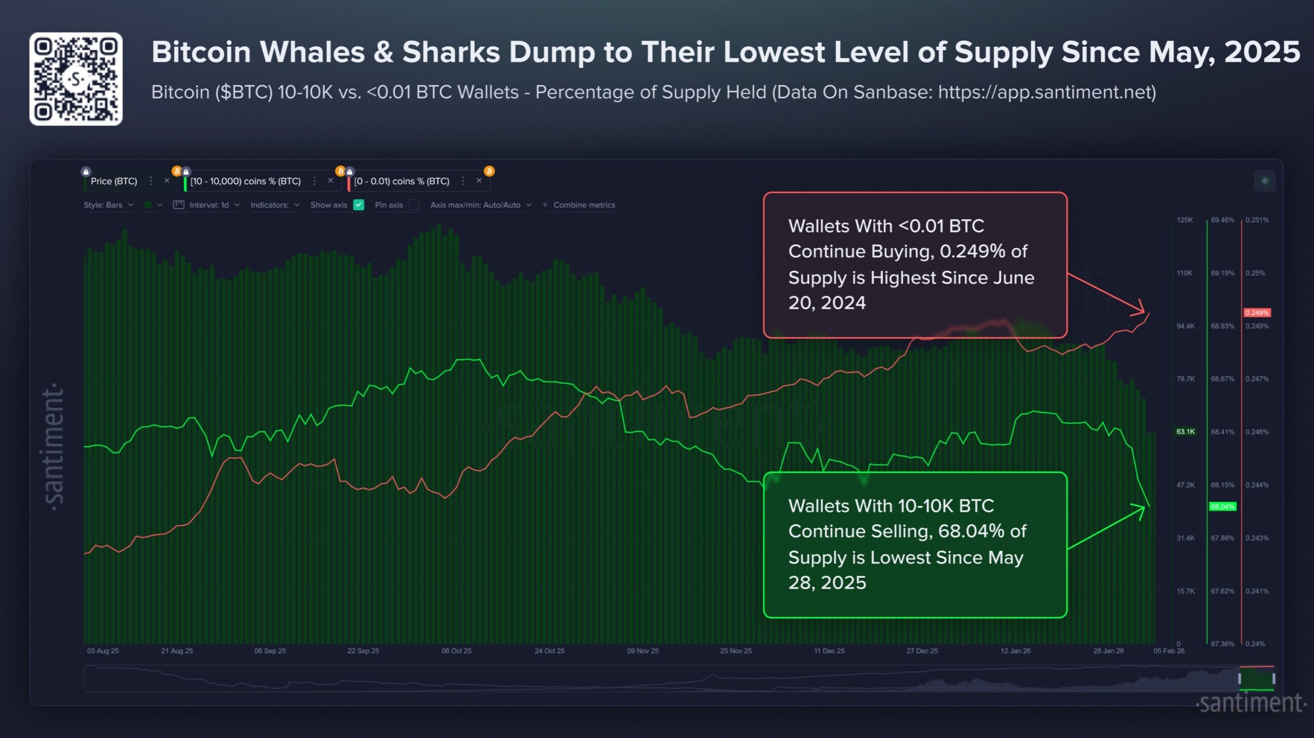 Bitcoin Whales and Retails Holdings