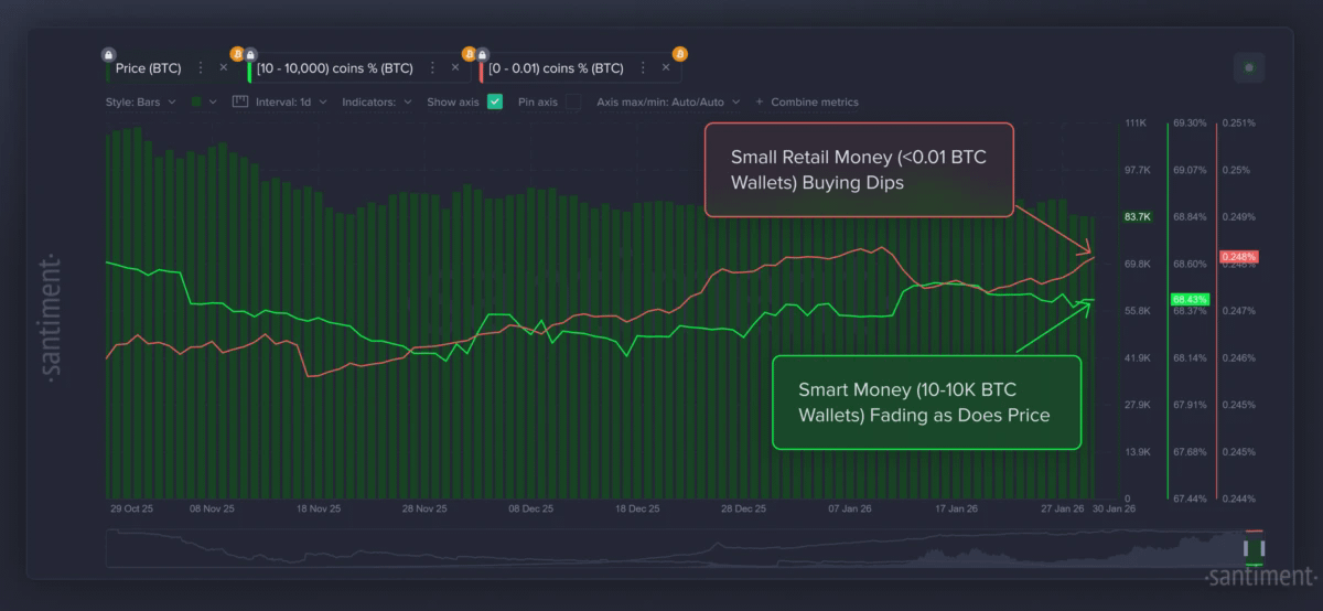 Биткоин: крупные против мелких частных инвесторов