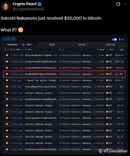 Satoshi nakamoto BTC transfer