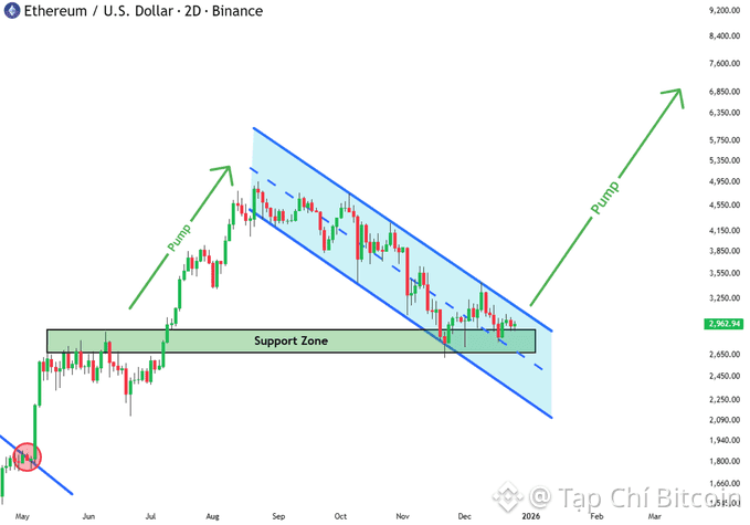 Nhà phân tích dự đoán giá Ethereum ở mức 5000 đô la trong bối cảnh BitMine đã stake 219 triệu đô la ETH
