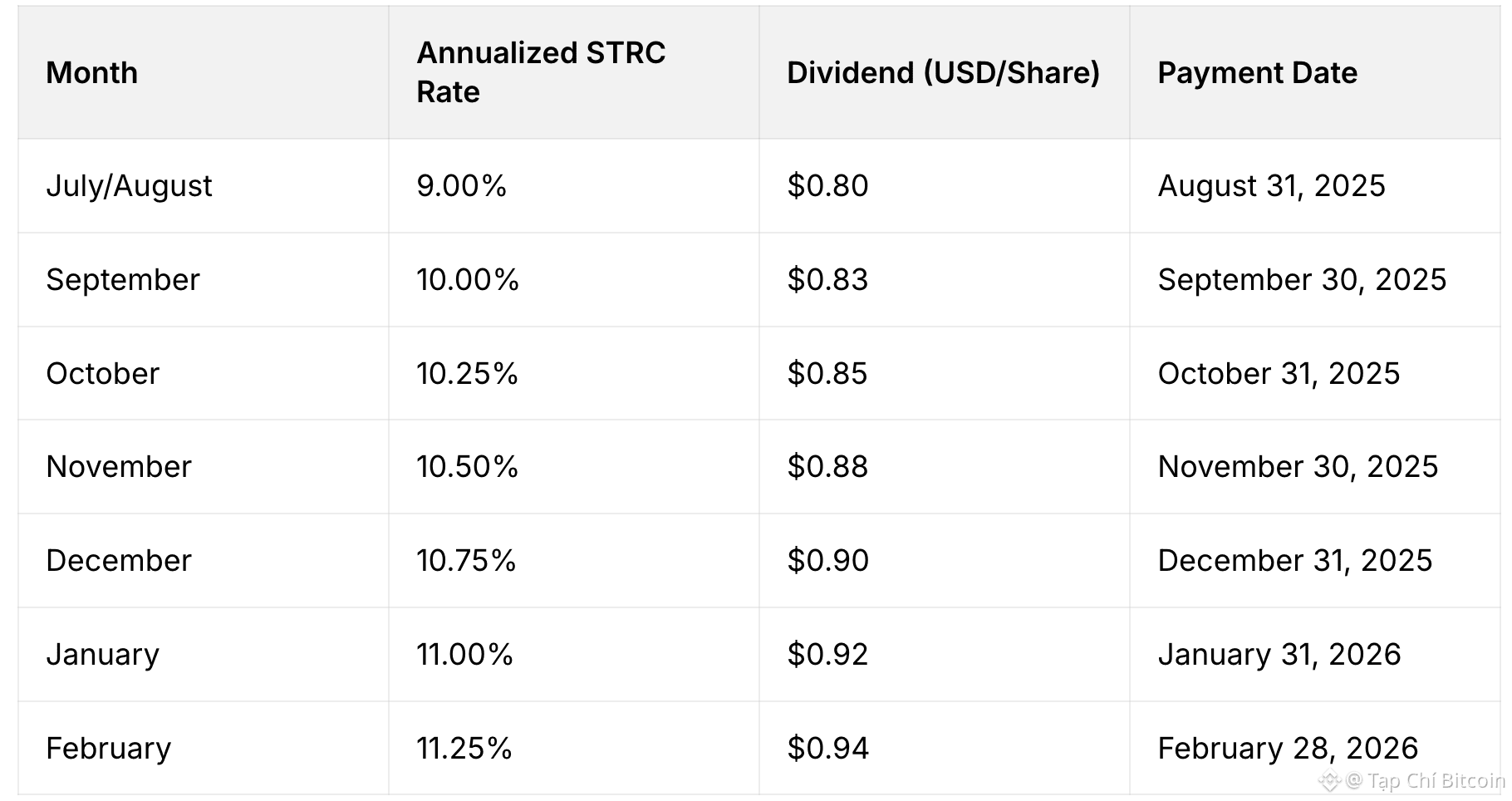 Công ty Strategy báo cáo lợi nhuận quý 4 không đạt kỳ vọng