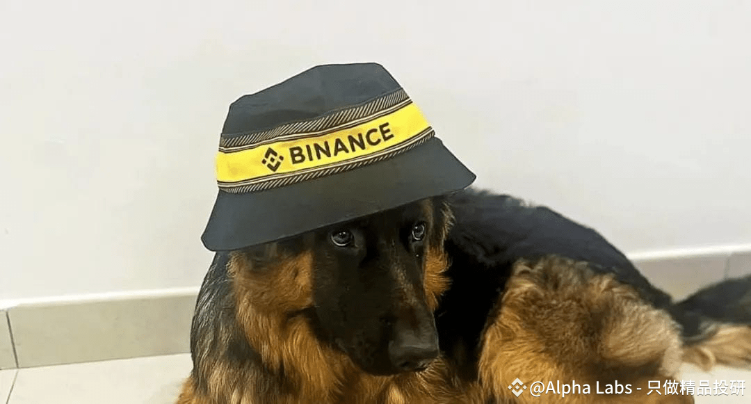 Binance Africa on X: "#Binance dog 💛🐶 https://t.co/aoPv2hrkqp" / X