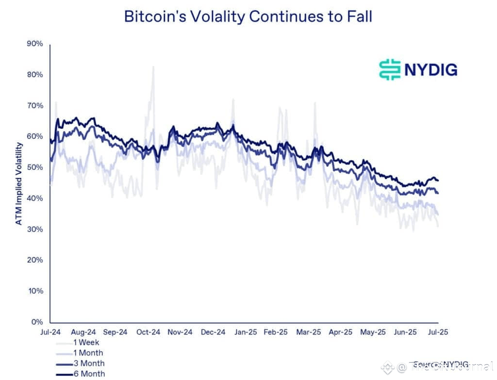 Crypto Market Volatility