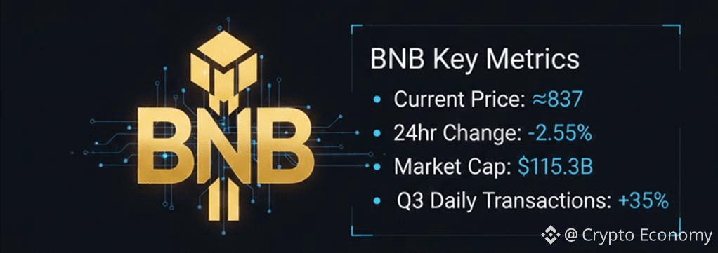 BNB holds onto fourth place in the market-