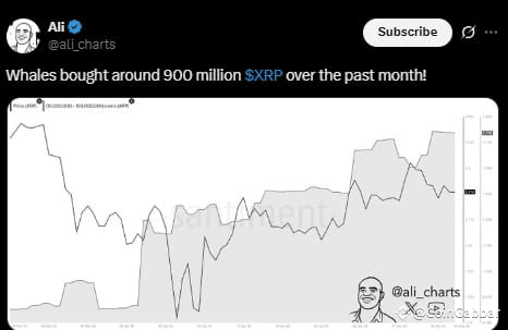 XRP Whales Accumulation