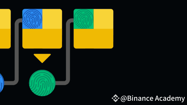 Le hachage de chaque bloc est inclus dans le bloc suivant. Cela forme la chaîne de blocs, ou blockchain.