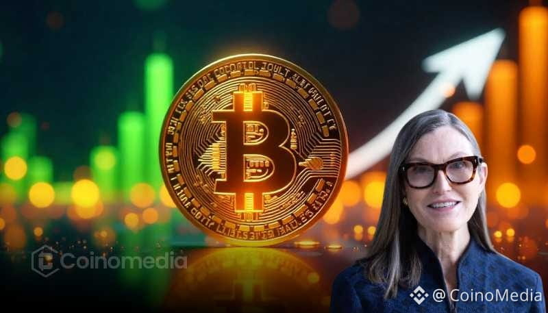 Why Cathie Wood Bitcoin Hedge View Matters