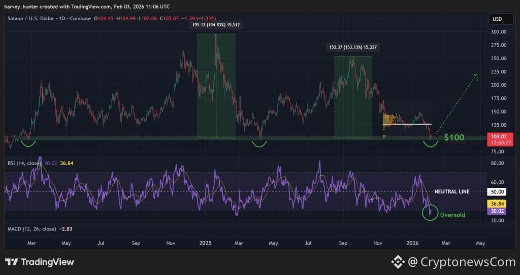 SOL USD 1-day chart - Oversold RSI aligns with historical support. Source: TradingView.