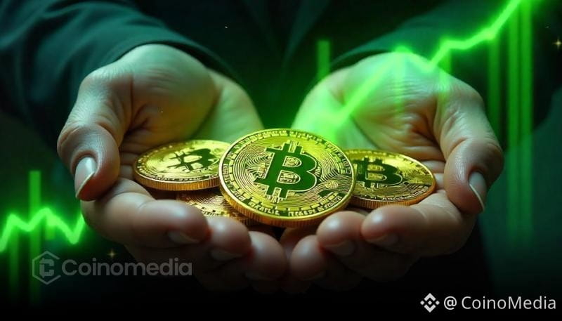 Long-Term Holders Signal Bitcoin Accumulation Returns