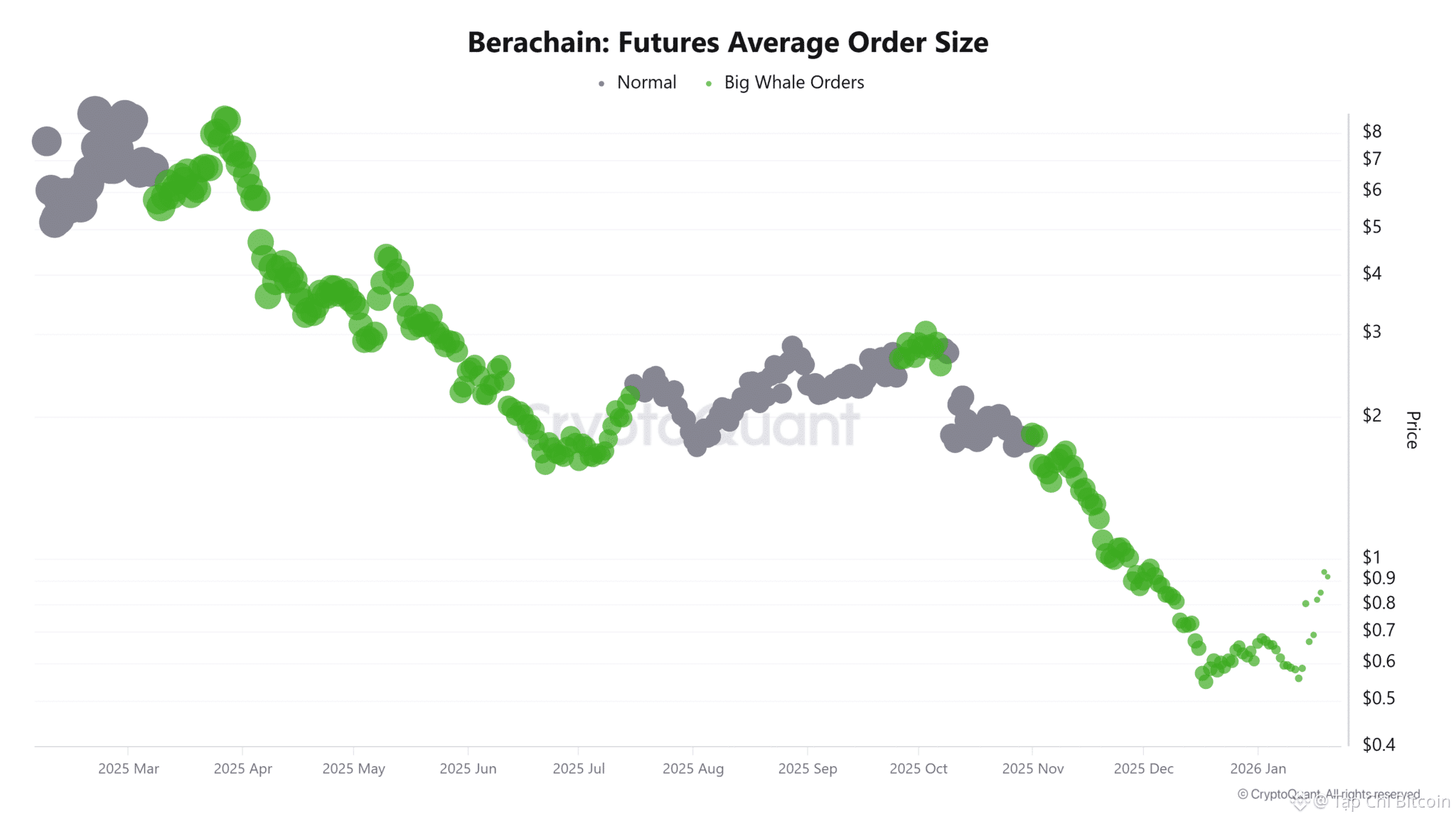 Liệu Berachain (BERA) có đang chuẩn bị cho một đợt tăng giá mạnh sau khi lấy lại mốc 1 đô la?