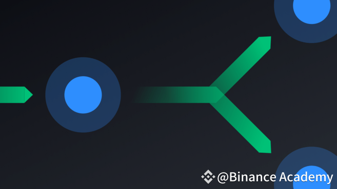 DAG with multiple branches