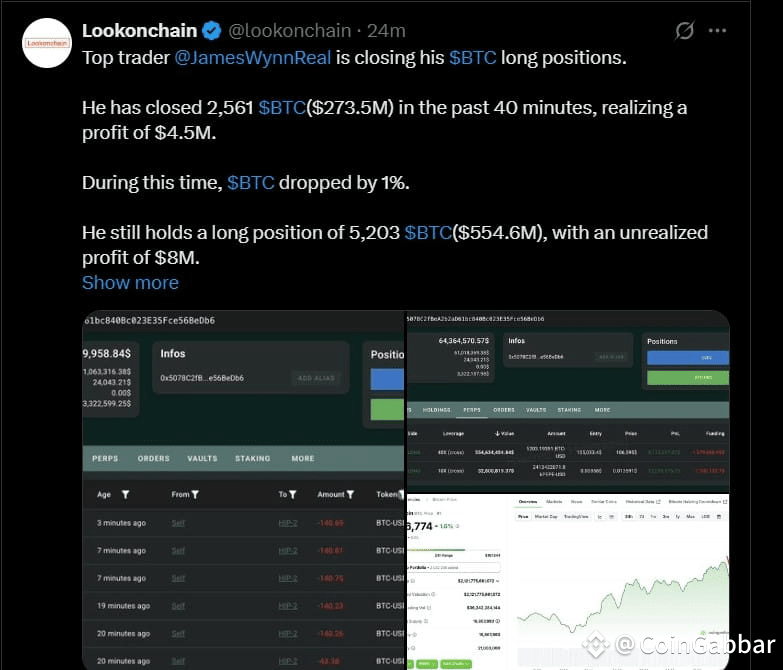 Bitcoin Whale Activity