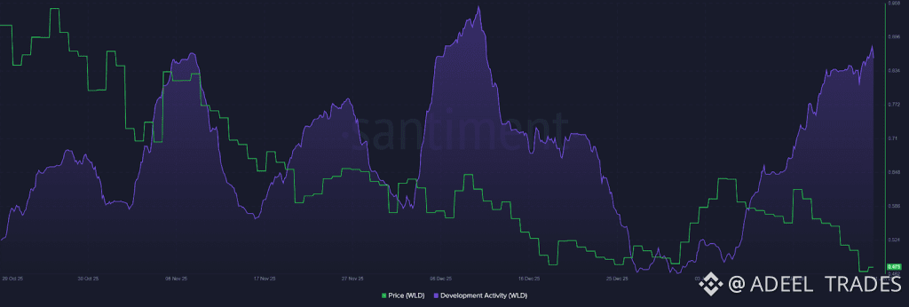 Worldcoin On Chain Activity