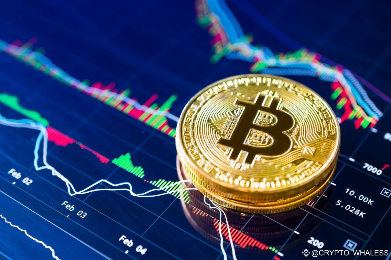Bitcoin Fiyatı 80.000 Dolarlık Tüm Zamanların En Yüksek Seviyesine Ulaştı, İşte Nedeni