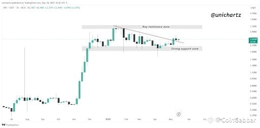 XRP: A Crypto Pundit’s Blueprint For The Top 5%