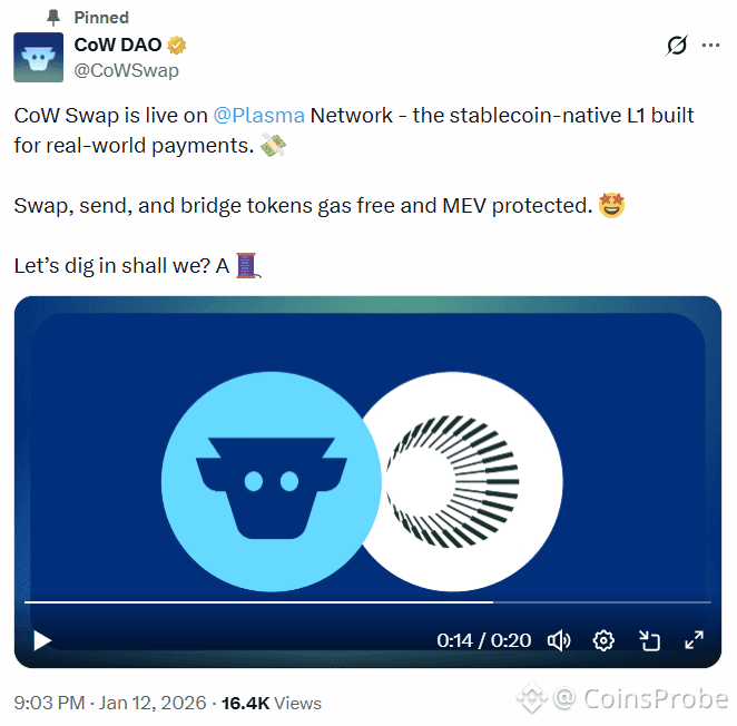 COW Swap and Plasma Partnership