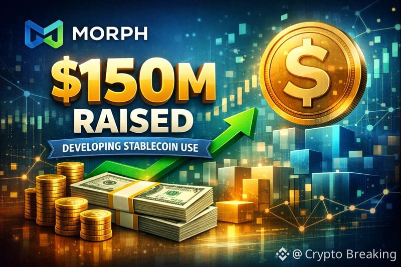 Morph Backs Raises 150m To Develop Stablecoin Use