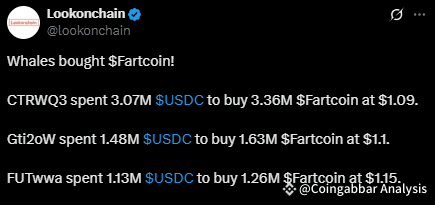 Whale Fartcoin accumulation