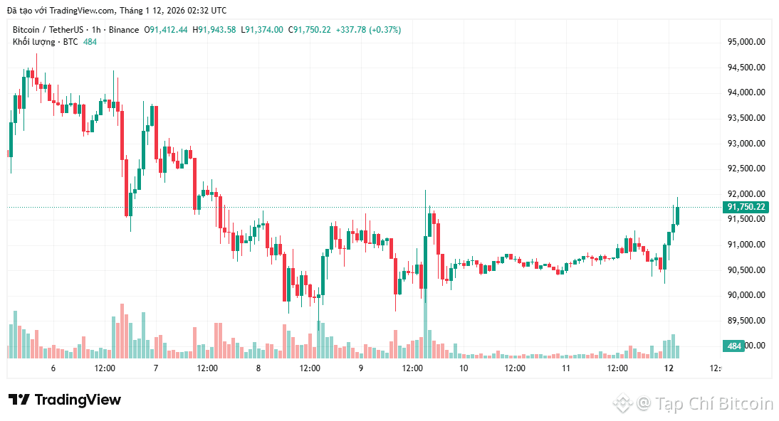 Các nhà phân tích phát hiện tin hiệu phục hồi giá Bitcoin