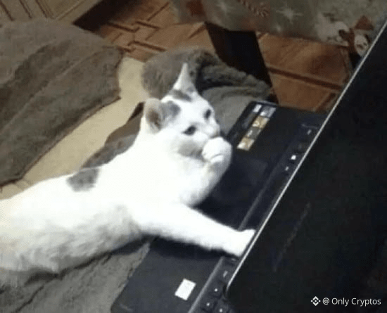 Cat using computer