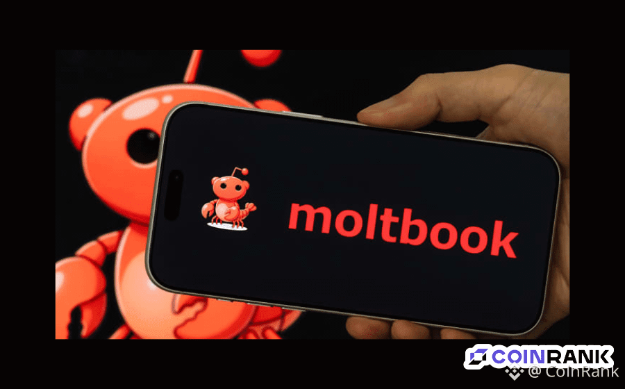 Is Moltbook Sparking a Second Golden Age for AI Agents?