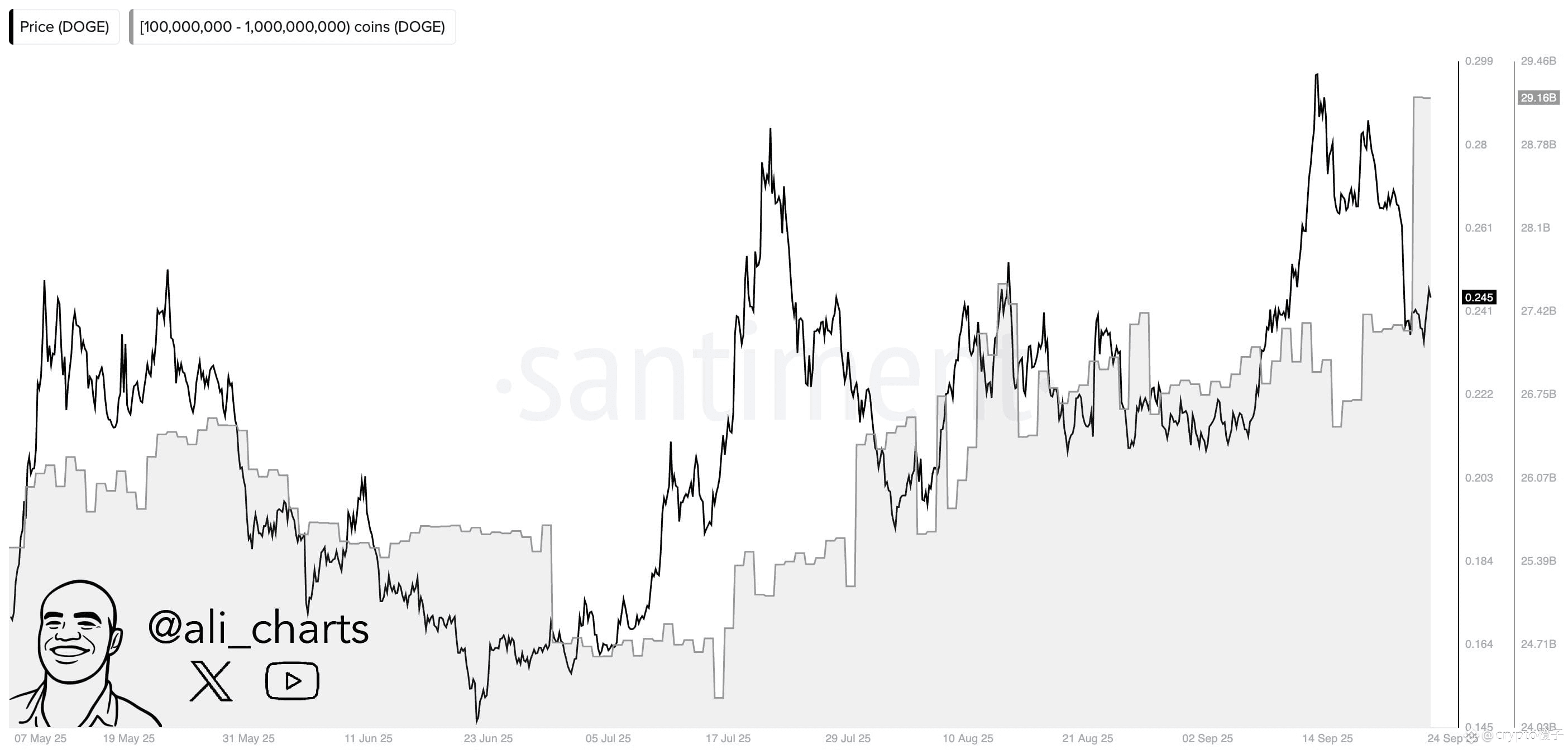 狗狗币鲸鱼供应