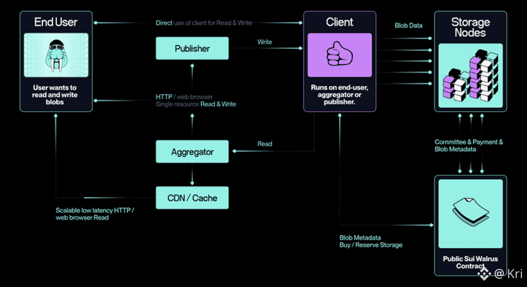 Operating model of Walrus Protocol