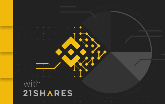 Portfolio Optimization With BNB