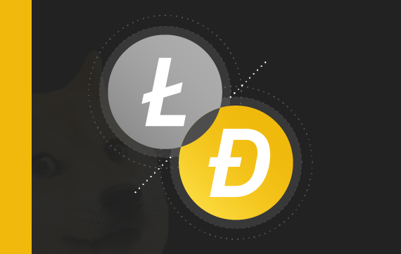 Case Study: Merged Mining in Dogecoin & Litecoin